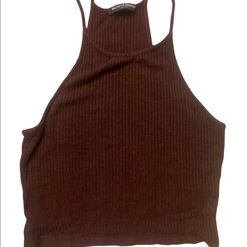 Brandy Melville cranberry crop top